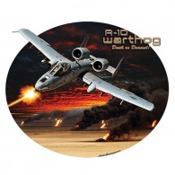 A-10 Warthog Airplane 